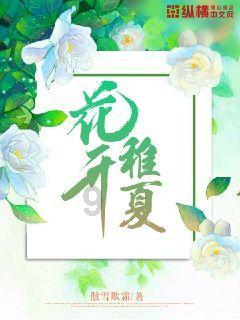 寂静森林找星星